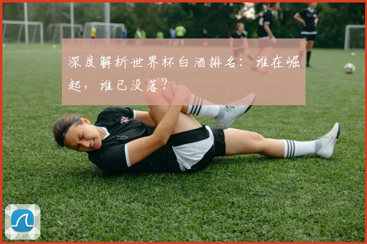 深度解析世界杯白酒排名：谁在崛起，谁已没落？