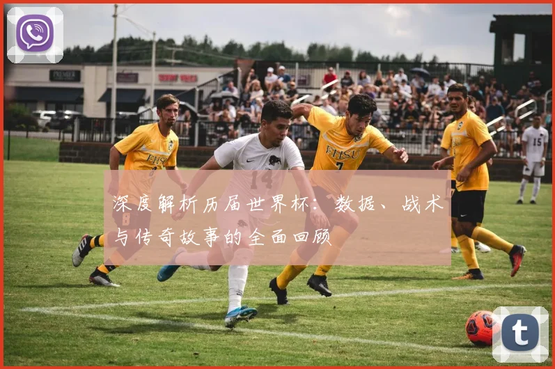 深度解析历届世界杯:数据、战术与传奇故事的全面回顾