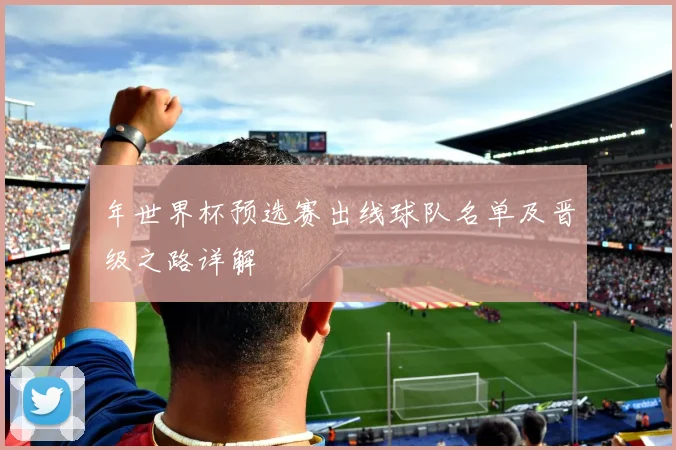 年世界杯预选赛出线球队名单及晋级之路详解