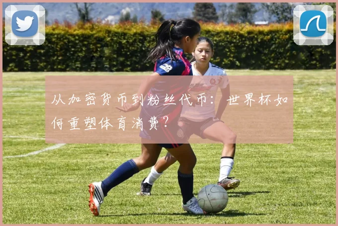 从加密货币到粉丝代币：世界杯如何重塑体育消费？
