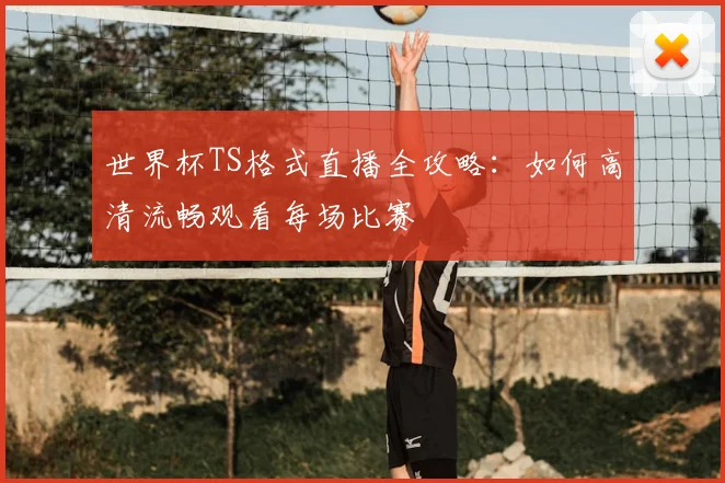 世界杯TS格式直播全攻略:如何高清流畅观看每场比赛