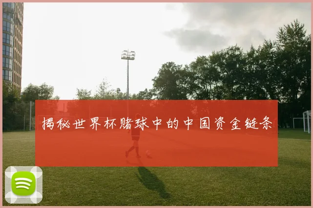 揭秘世界杯赌球中的中国资金链条