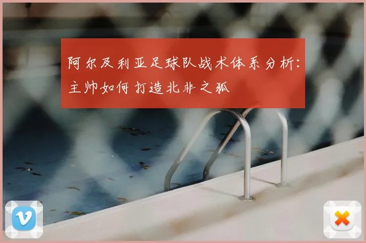 阿尔及利亚足球队战术体系分析：主帅如何打造北非之狐