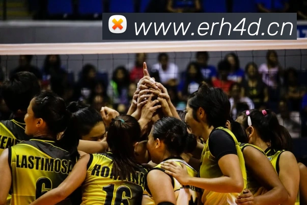 九游app官方网站平台生态图